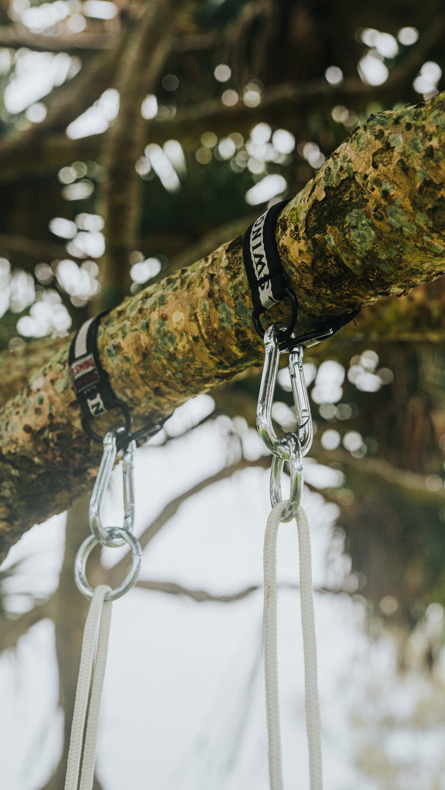 Hanging Straps with Carabiners
