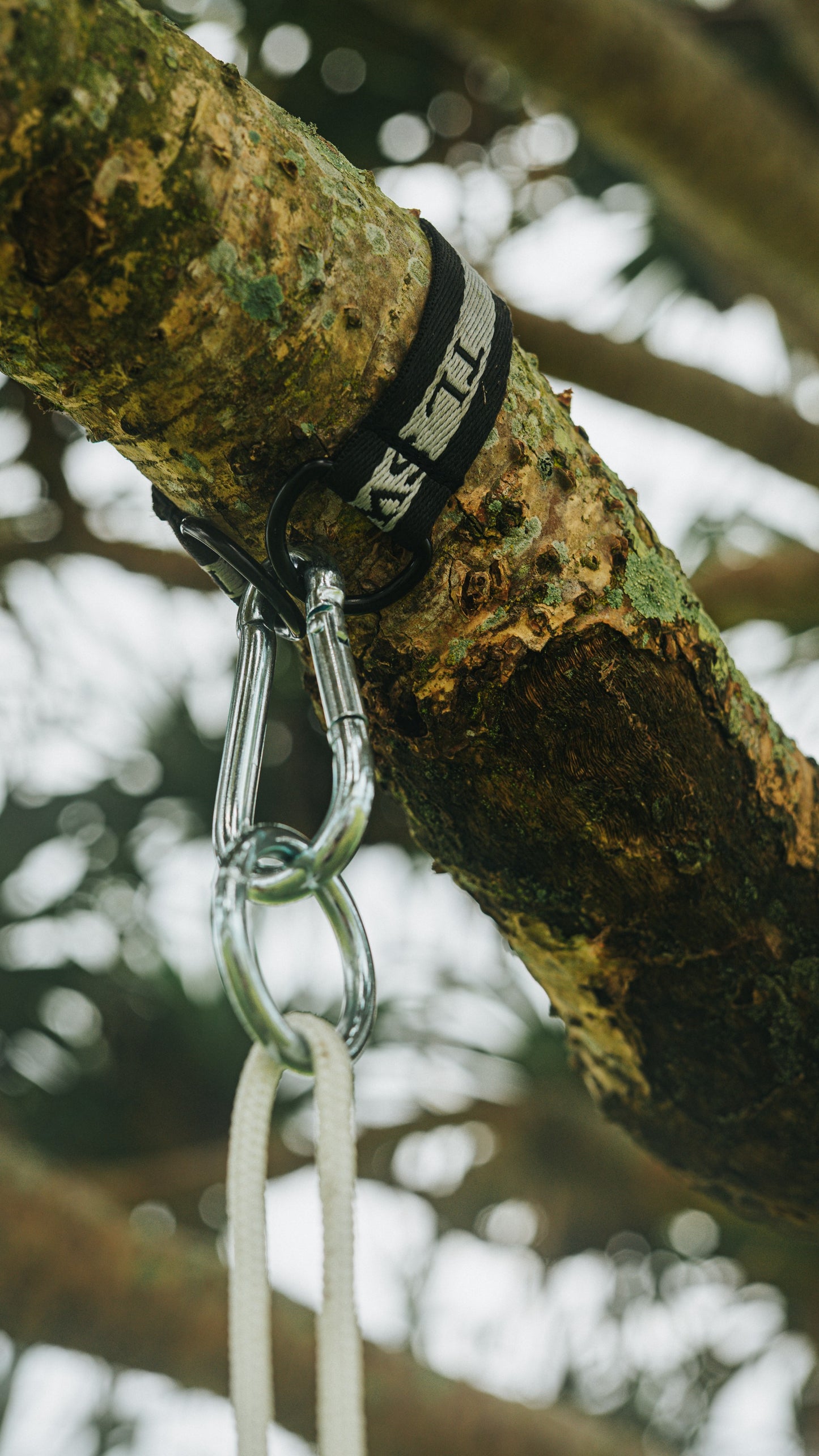 Hanging Straps with Carabiners